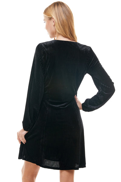 Remi Black Velvet Long sleeve dress. Plunging neckline. Hidden back zipper closure.